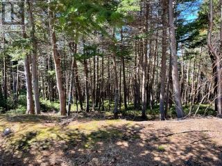 Photo 3: 59 Seal Cove Road in Stephenville Crossing: Vacant Land for sale : MLS®# 1250557