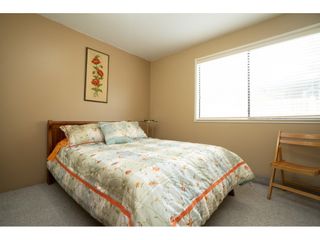 Photo 26: 8843 204A Street in Langley: Walnut Grove House for sale : MLS®# R2481339
