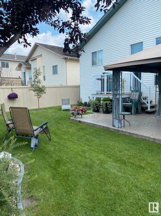 Photo 53: 3720 29 Street in Edmonton: Zone 30 House for sale : MLS®# E4376639