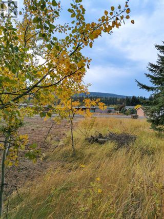 Photo 3: LOT 36 BLACKSTOCK ROAD in 100 Mile House: Vacant Land for sale : MLS®# R2741433