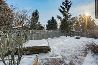 Photo 36: 10636 MAPLEGLEN Crescent SE in Calgary: Maple Ridge Detached for sale : MLS®# C4225392