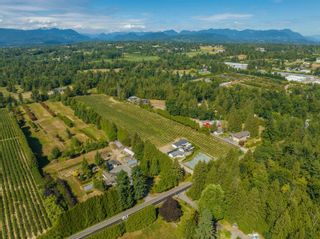 Photo 4: 27911 56 Avenue in Abbotsford: Bradner House for sale in "Gloucester Industrial Area Abbotsford" : MLS®# R2791732