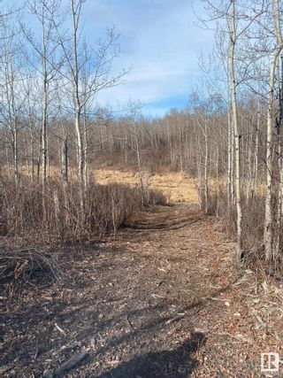 Photo 6: 20409 Twp Rd 510: Rural Beaver County Vacant Lot/Land for sale : MLS®# E4383848