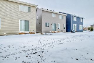 Photo 48: 258 Carringham Road NW in Calgary: Carrington Detached for sale : MLS®# A2044632
