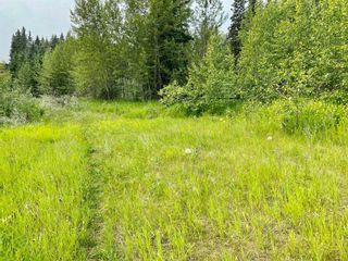 Photo 45: 73021 A/B Highway 11A: Rural Clearwater County Detached for sale : MLS®# A2061877