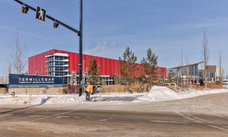 Photo 5: Terwillegar Town in Edmonton: Zone 14 House Half Duplex for sale : MLS®# E4104465