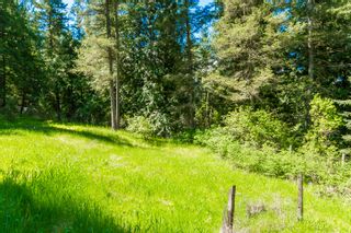 Photo 23: 3977 Myers Frontage Road: Tappen House for sale (Shuswap)  : MLS®# 10134417