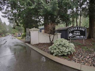 Photo 1: 8 2306 198 Street in Langley: Brookswood Langley Manufactured Home for sale in "Cedar Lane Park" : MLS®# R2237206