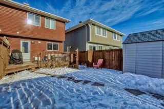 Photo 36: 43 Auburn Bay Boulevard SE in Calgary: Auburn Bay Semi Detached (Half Duplex) for sale : MLS®# A2023245