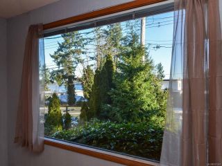 Photo 16: 800 Alder St in CAMPBELL RIVER: CR Campbell River Central House for sale (Campbell River)  : MLS®# 747357