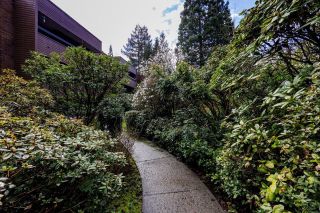 Photo 28: 202 2620 FROMME Road in North Vancouver: Lynn Valley Condo for sale in "TREELYNN" : MLS®# R2864512