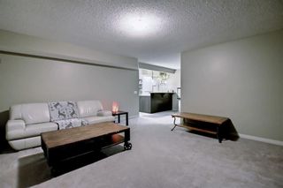 Photo 37: 1013 Copperfield Boulevard SE in Calgary: Copperfield Detached for sale : MLS®# A1149102