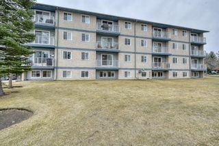 Photo 3: 308A 5601 Dalton Drive NW in Calgary: Dalhousie Apartment for sale : MLS®# A1165595