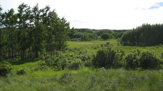 Photo 14: TWP RD 272 & RR 41 in Rural Rocky View County: Rural Rocky View MD Residential Land for sale : MLS®# A1246268