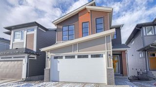 Main Photo: 211 LUCAS Terrace NW in Calgary: Livingston Detached for sale : MLS®# A2018194