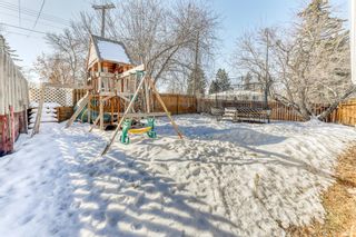 Photo 7: 49 Fielding Drive SE in Calgary: Fairview Detached for sale : MLS®# A2032765