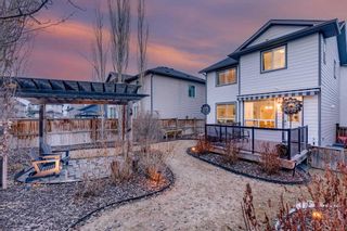 Photo 34: 39 Silverado Skies Manor SW in Calgary: Silverado Detached for sale : MLS®# A2122875