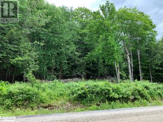 Photo 13: 0 SAM ENGLISH Road in Huntsville: Vacant Land for sale : MLS®# 40391008