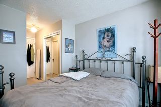 Photo 14: 169 Falsby Road NE in Calgary: Falconridge Semi Detached (Half Duplex) for sale : MLS®# A1252532