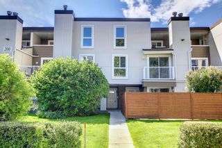 Photo 3: 203 13104 Elbow Drive SW in Calgary: Canyon Meadows Row/Townhouse for sale : MLS®# A1238343