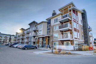 Photo 47: 1205 302 Skyview Ranch Drive NE in Calgary: Skyview Ranch Apartment for sale : MLS®# A2007686