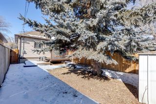 Photo 21: 6228 18A Street SE in Calgary: Ogden Detached for sale : MLS®# A2032861