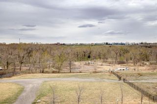 Photo 19: 601 63 Inglewood Park SE in Calgary: Inglewood Apartment for sale : MLS®# A1213781