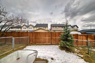 Photo 44: 164 Prestwick Acres Lane SE in Calgary: McKenzie Towne Row/Townhouse for sale : MLS®# A2129053