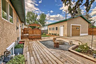Photo 42: 339 Penswood Way SE in Calgary: Penbrooke Meadows Detached for sale : MLS®# A2069224