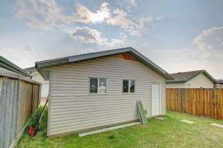 Photo 29: 288 SADDLEMEAD RD NE in Calgary: Saddle Ridge House for sale : MLS®# C4201588