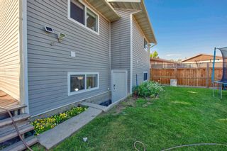 Photo 34: 108 TEMPLEMONT Circle NE in Calgary: Temple Detached for sale : MLS®# A1019637