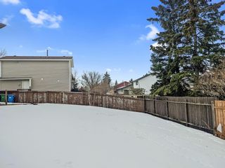 Photo 29: 28 Falmead Place NE in Calgary: Falconridge Semi Detached (Half Duplex) for sale : MLS®# A2011357