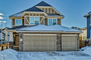 Photo 1: 143 STONEMERE Green: Chestermere Detached for sale : MLS®# A2020834