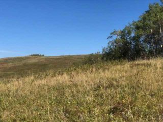 Photo 32: 306 Avenue W: Rural Foothills County Residential Land for sale : MLS®# A2084312