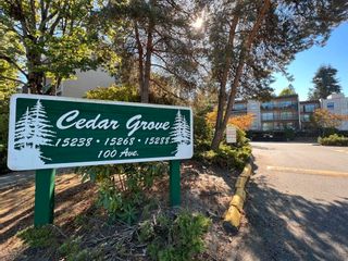 Photo 1: 304 15238 100 Avenue in Surrey: Guildford Condo for sale in "Cedar Grove" (North Surrey)  : MLS®# R2779427