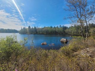 Photo 4: Lot 13 Virginia Road in West Springhill: Annapolis County Vacant Land for sale (Annapolis Valley)  : MLS®# 202300032