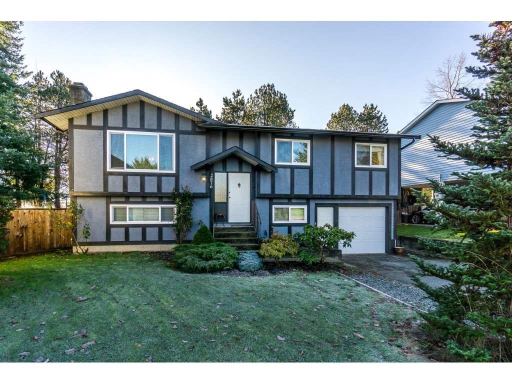 Main Photo: 2876 267A Street in Langley: Aldergrove Langley House for sale : MLS®# R2226858
