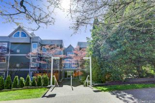 Photo 20: 209 518 THIRTEENTH STREET in New Westminster: Uptown NW Condo for sale : MLS®# R2257998