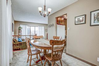Photo 11: 87 Bermuda Close NW in Calgary: Beddington Heights Detached for sale : MLS®# A1073222