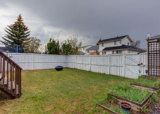 Photo 36: 259 Coventry Close NE in Calgary: Coventry Hills Detached for sale : MLS®# A2048008