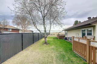 Photo 42: 2623 Dovely Court SE in Calgary: Dover Row/Townhouse for sale : MLS®# A1213020