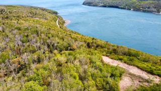 Photo 9: Lot Lighthouse Road in Bay View: Digby County Vacant Land for sale (Annapolis Valley)  : MLS®# 202227031