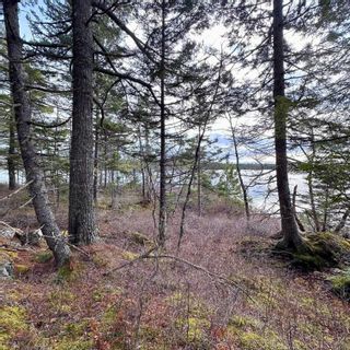 Photo 3: Lot 38 Sand Cove Road in Westfield: 406-Queens County Vacant Land for sale (South Shore)  : MLS®# 202404708