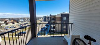 Photo 44: 401 7130 80 Avenue NE in Calgary: Saddle Ridge Apartment for sale : MLS®# A1215251