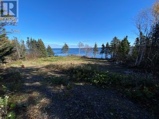 Photo 20: 9 Birchy Point in Campbellton: Vacant Land for sale : MLS®# 1267730