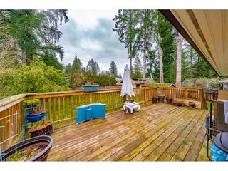 Photo 35: 20221 42 Avenue in Langley: Brookswood Langley House for sale in "Brookswood" : MLS®# R2649321