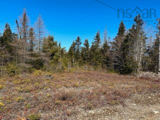 Photo 2: Lot R-8 Road in New Chester: 303-Guysborough County Vacant Land for sale (Highland Region)  : MLS®# 202405529