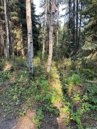 Photo 1: Ridge road North 5 acre in Hudson Bay: Lot/Land for sale : MLS®# SK907644