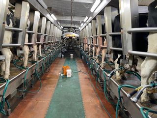 Photo 20: Dairy Farm 783 East River Road, Newtown, NS