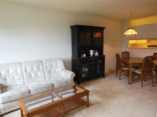 Photo 4: 416 2800 CHESTERFIELD Avenue in North Vancouver: Upper Lonsdale Condo for sale : MLS®# R2270296